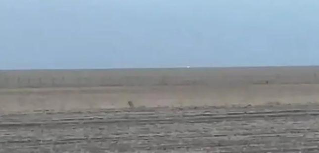 中蒙邊境線明火已被撲滅，為什么蒙古那么容易發生草原火災？