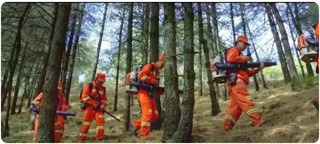 全市森林草原防火期結(jié)束,嵩明持續(xù)筑牢森林“防火墻”